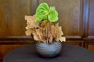 草月会ダラス支部