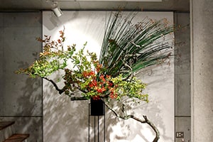 TBSドラマ「地獄の沙汰もヨメ次第」