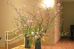 マサチューセッツ支部