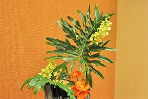 マサチューセッツ支部