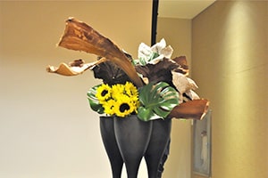 マサチューセッツ支部