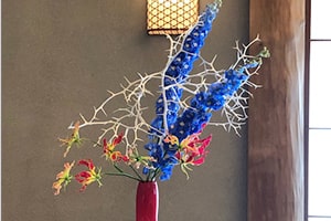 メラニアトランプ大統領夫人へのパフォーマンス