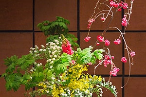 いけばなインターナショナル東京支部例会