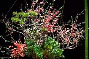 いけばなインターナショナル東京支部例会