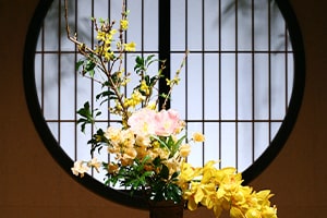 テレビ朝日連続ドラマ「けものみち」