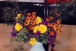 テレビ朝日連続ドラマ「けものみち」