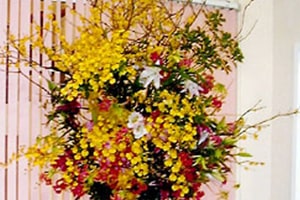 テレビ朝日連続ドラマ「けものみち」