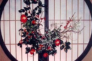 テレビ朝日連続ドラマ「けものみち」